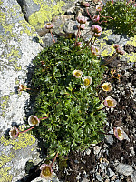 OdinB_20240718_669955dce3975.jpg