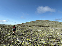 OdinB_20240718_669955de96820.jpg