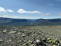 OdinB_20240718_669955df20cc2.jpg