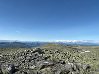 OdinB_20240718_669955e2c644e.jpg