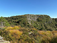 OdinB_20240901_66d45d4b0d3f8.jpg