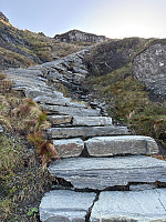 OdinB_20240906_66db1137c4ddf.jpg
