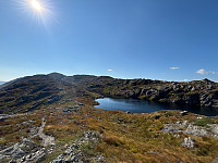 OdinB_20240907_66dc6ed6b9c90.jpg