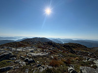 OdinB_20240907_66dc6ed7b82a2.jpg