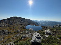 OdinB_20240907_66dc6ed83f0e9.jpg