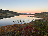 OdinB_20240919_66ec69d70dfba.jpg