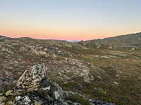 OdinB_20240919_66ec69d78a452.jpg