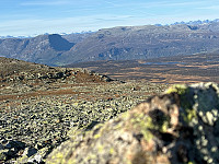 OdinB_20240920_66ed9f8f93ed5.jpg