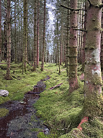 OdinB_20241223_676973ebb2f78.jpg