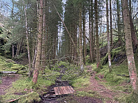 OdinB_20241223_676973ec5794d.jpg
