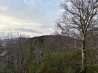 OdinB_20241223_676973ee831d1.jpg