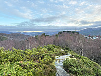 OdinB_20241223_676973ef1a237.jpg