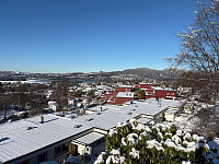 OdinB_20250215_67b0876d30f9d.jpg