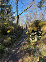 OdinB_20250330_67e939ff98e24.jpg