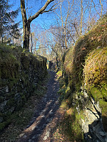 OdinB_20250330_67e93a0034584.jpg