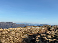 OdinB_20250409_67f6ae45481e2.jpg
