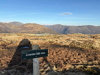 OdinB_20250409_67f6ae45b9cc5.jpg