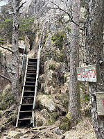 OdinB_20250415_67fe78ecee505.jpg