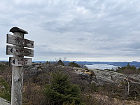 OdinB_20250415_67fe78f0185db.jpg