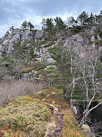 OdinB_20250415_67fe78f08aca5.jpg