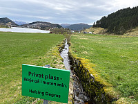 OdinB_20250417_6800e95b60c86.jpg