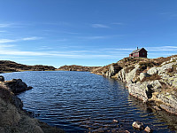 OdinB_20250423_6809147057749.jpg