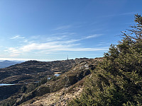 OdinB_20250423_68091470d8ae1.jpg