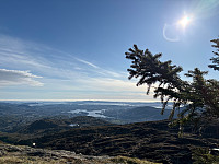 OdinB_20250423_6809147158e69.jpg