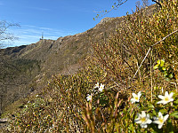 OdinB_20250423_68091471d442e.jpg