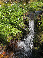 OdinB_20250504_681757c5f2a9a.jpg