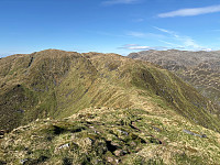 OdinB_20250512_68224fcac7677.jpg