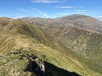 OdinB_20250512_68224fcb578cb.jpg