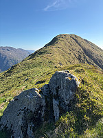 OdinB_20250512_68224fcc7a5f2.jpg