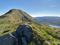 OdinB_20250512_68224fcd028be.jpg