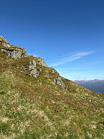 OdinB_20250512_68224fceb9029.jpg