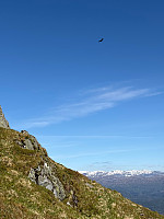 OdinB_20250512_68224fcfd04fa.jpg