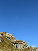 OdinB_20250512_68224fd0476ea.jpg