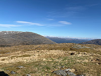OdinB_20250512_68224fd2370ce.jpg