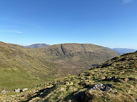 OdinB_20250512_68224fd336944.jpg