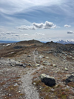 OdinB_20250607_68443497f1c82.jpg