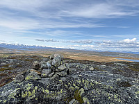 OdinB_20250607_684434998c8e9.jpg