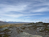 OdinB_20250607_6844349a189ff.jpg