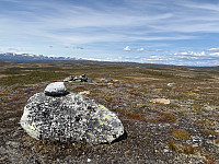 OdinB_20250607_6844349b23058.jpg