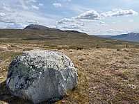 OdinB_20250607_6844349ba35e7.jpg