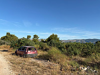 OdinB_20250628_685fa93dd847a.jpg