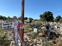 OdinB_20250628_685fa93e614bc.jpg