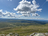 OdinB_20250711_6870e0d4d197c.jpg