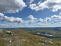 OdinB_20250711_6870e0d5517e4.jpg