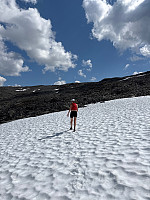 OdinB_20250718_687a5b123c7e3.jpg