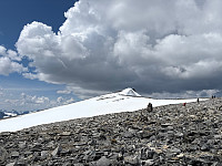 OdinB_20250720_687c1c4e7b204.jpg